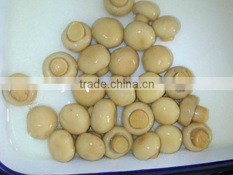 Canned champignon mushroom