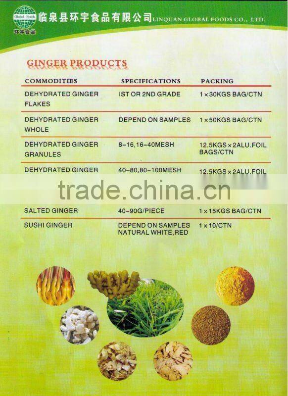 Fresh Garlic Global Foods health against cancer