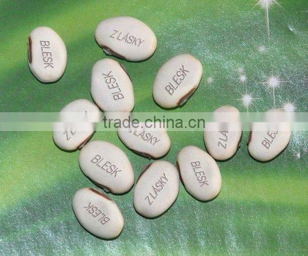 magic promotional gifts