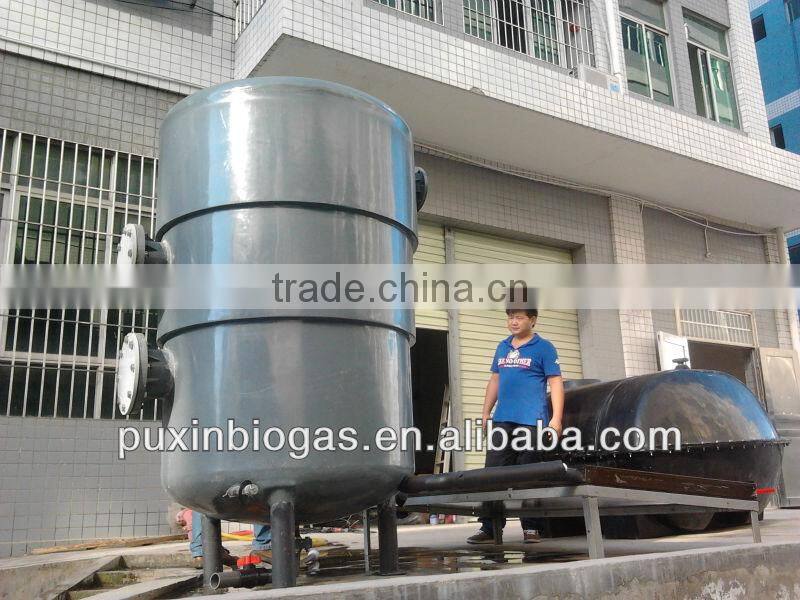 PUXIN biogas plant /machine /systems price for sewage water purifier