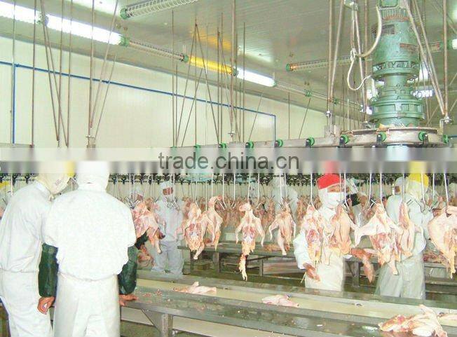 Poultry abattoir equipment