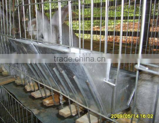 battery cage rabbit