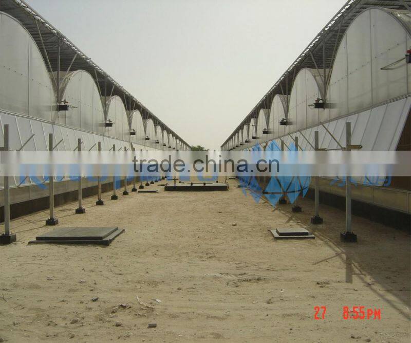 Double Layer Air Inflated Plastic Greenhouse