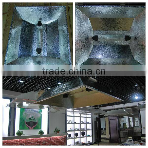 2016 new 1000 watt double ended grow light For Plants/ballast double ended greenohouse light