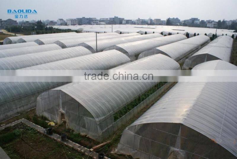 Poly Tunnel Vegatable Greenhouse covered by polythene film