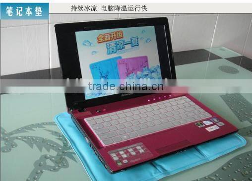 newest and eco-friendly ice pad , ice cushion for computer for pet