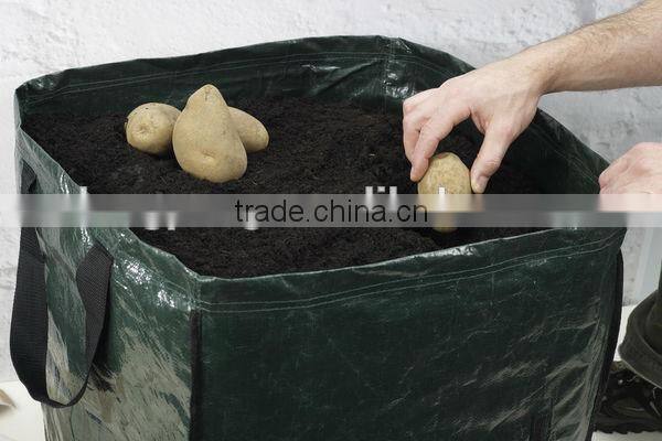 PE Woven Squra Potato Planter Bag,Recycled Potato Growing Bags,Potato Planting Bag,Potato Planter