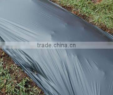 PLA agricultural mulch film,plastic mulch film