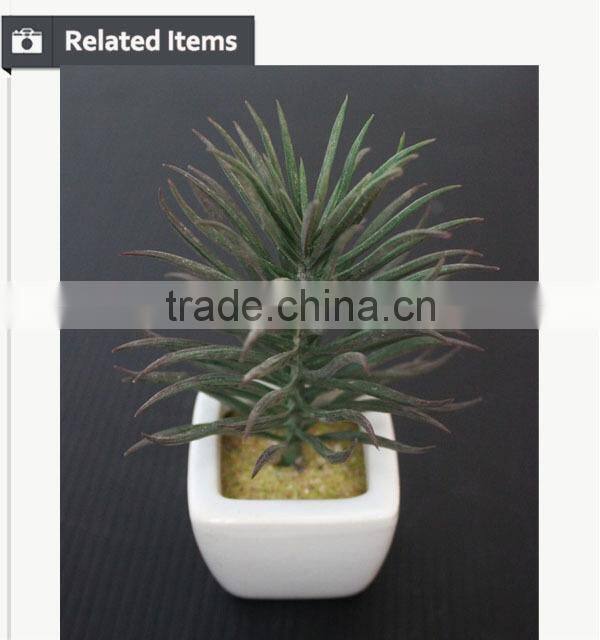 Hot sale artificial potted plants chinese succulent plants