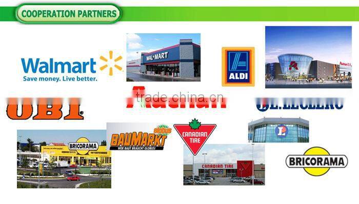 CE/GS Approval 4 Stroke 700 W Petrol 2in1 Brush Cutter /Grass Trimmer