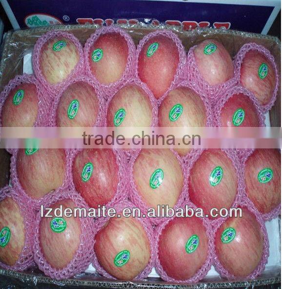 fruit protective net