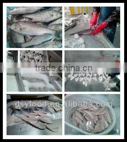 FROZEN TONGUE SOLE WHOLE ROUND HOOK CAUGHT FISH