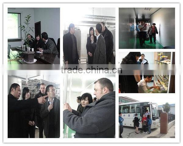 High quality yellow filtered beeswax block