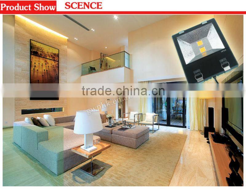 50W/100w LED Floodlight with CE/RoHS