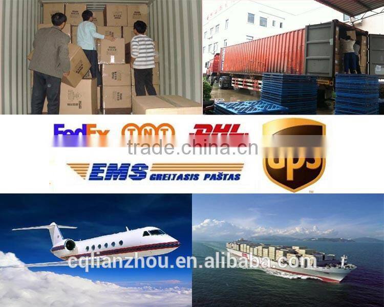 OEM Motorcycle Magneto Coil DS110 DC 8 Poles