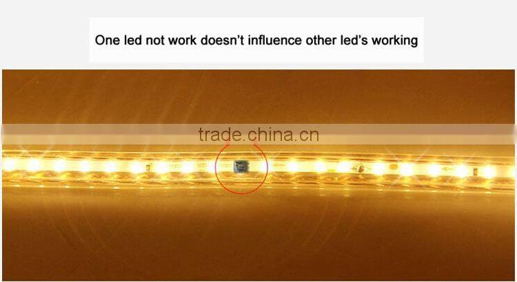 AC 220V LED Strip SMD 3014 240LED/M Warm white Waterproof IP67 100M/Roll with One Set Free AC Plug Cable Super Bright New