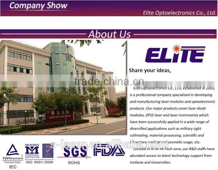 Long life industrial violet laser pointer