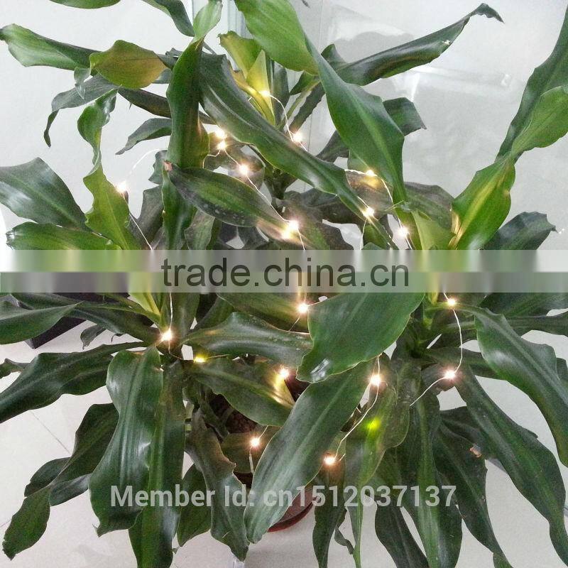 Brand New Remote Control 3M 30Led Mini Silver Color Copper Wire String Lights For Christmas Wedding Party