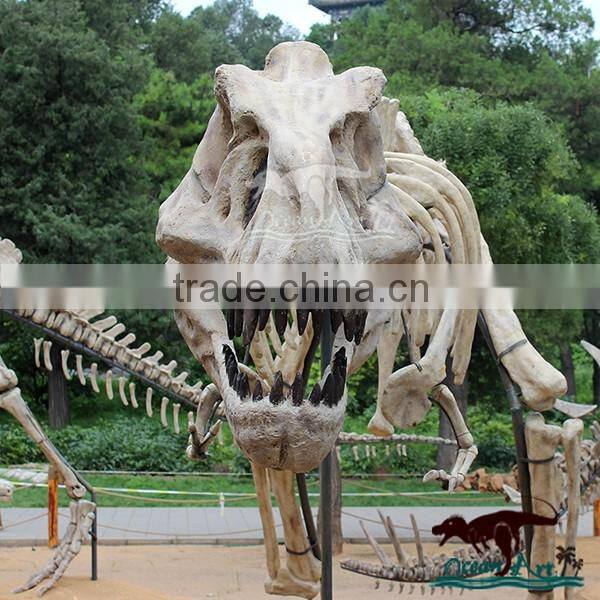 OA6146 Museum Use Exhibition Dinosaur Skeleton Fossil