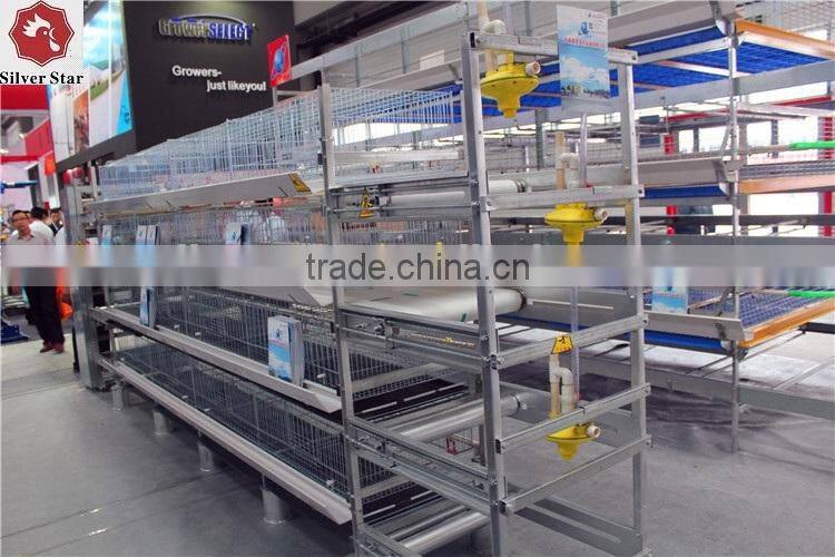 High Quality Al-Zn Steel Material Baby Layer Cage For Uzbekistan Chicken Farm