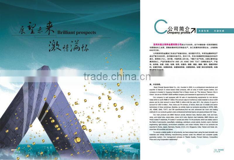 Titanium plating baskets bracket