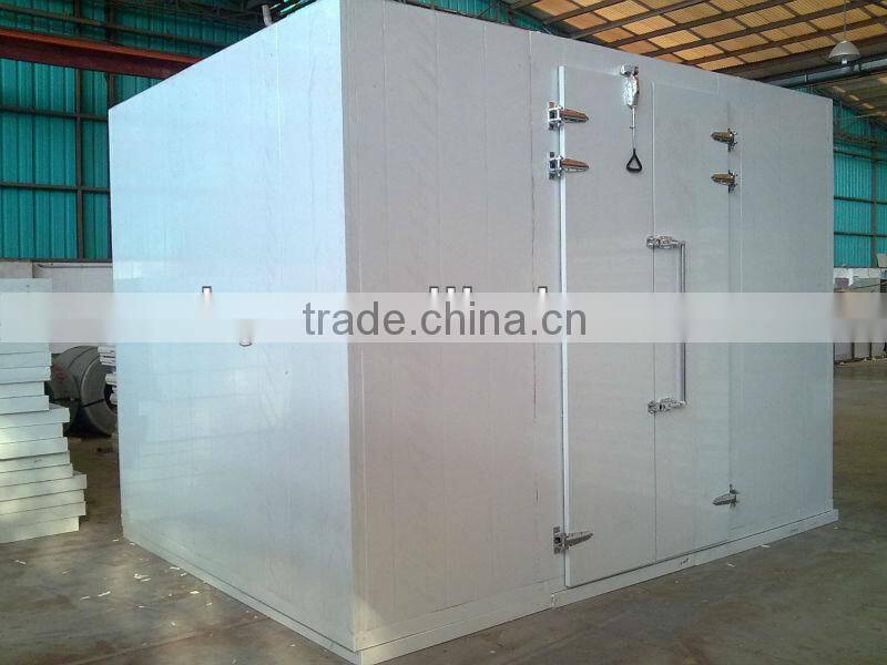 modular cold room and freezer room(fruit&meat)with cam lock polyurethane panels