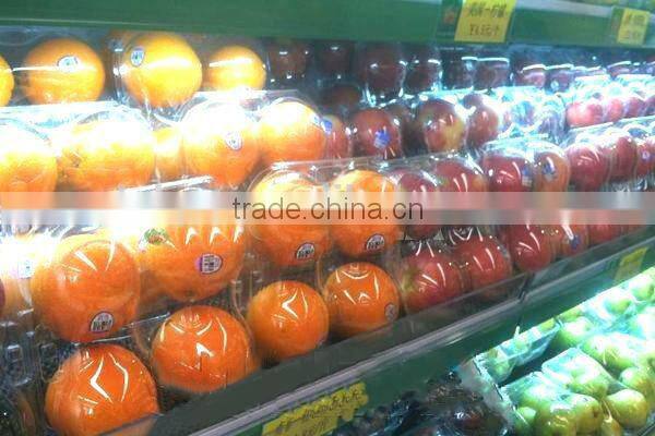 4 compartment plastic compartment boxes food packaging containers clear plastic paking box