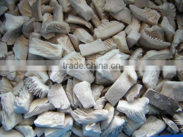 Offer very good quality Oyster Mushroom in reasonable price