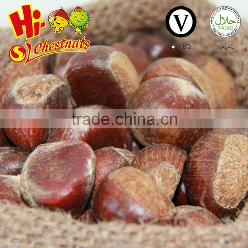 big size 2016 new crop fresh dandong chestnut for advance sale