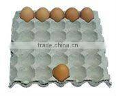 Egg Tray Drier
