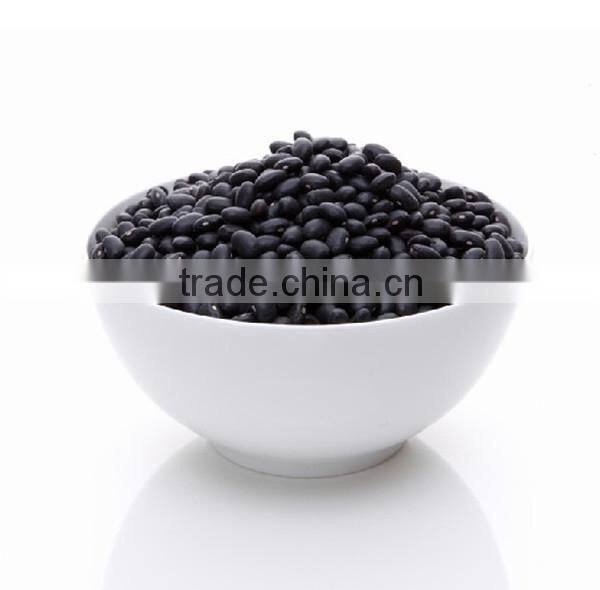 low price of black kidney beans for selling and export