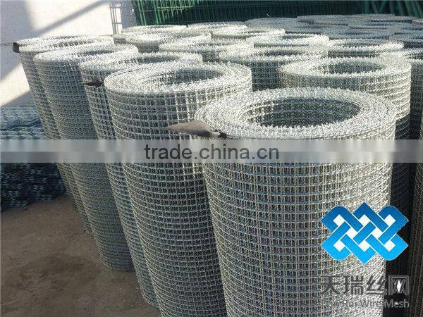 .0mm 2cmx5cm stainless steel,galvanized crimped wire mesh