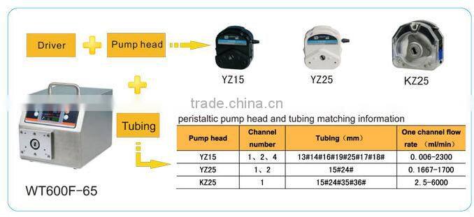 WT600F-65/DMD25 Compact and Precise Tubing Pump for Corrosion Resisting