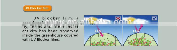 LDPE clear plastic film foil polyethylene ,non woven greenhouse film,hail protection orchard cover