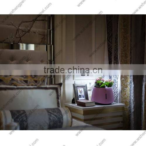 Mini hydroponic smart garden