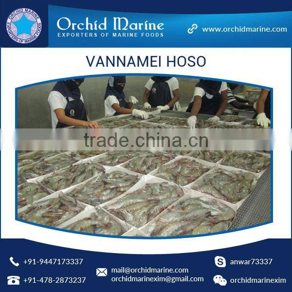 Trusted Supplier of High Quality Delicious, Healthy, Natural, Shrimp Vannamei