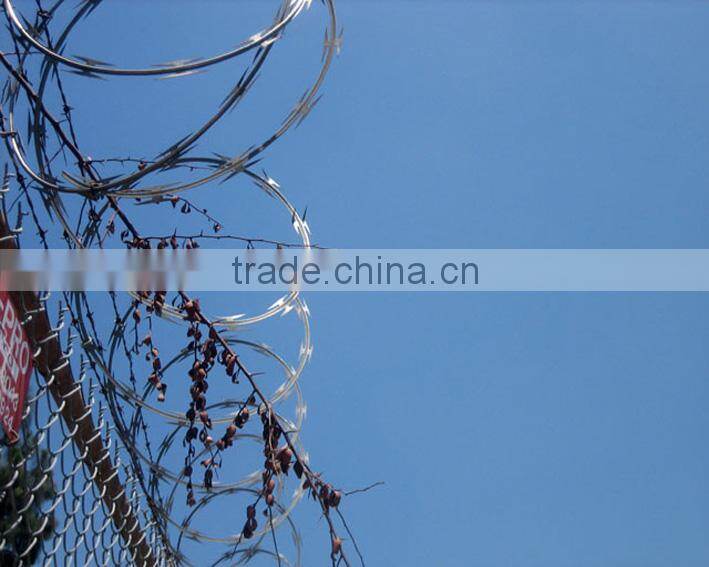 hot dipped galvanized concertina razor barbed wire( profession factory)