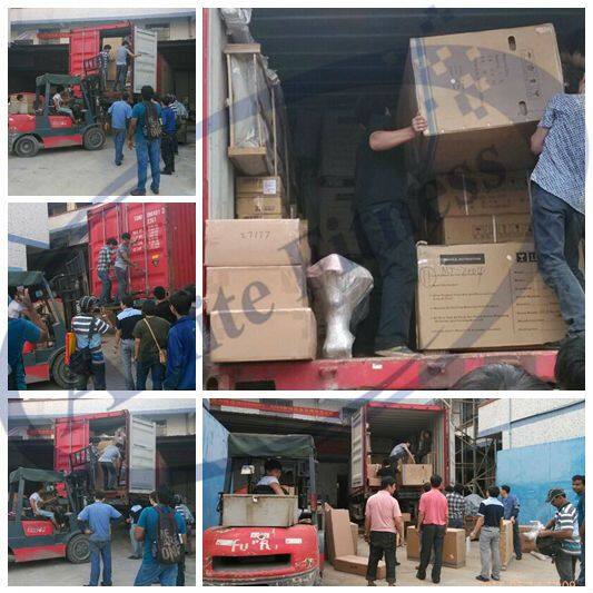 Commercial Fitness Machine/Plate Loaded /Biceps exercise machine