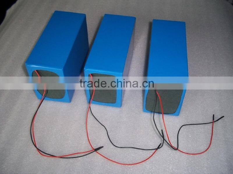 Pocket carrying 36v 8ah lithium battery with carrying bag for 350w 36v electirc bike battery 36v 10ah