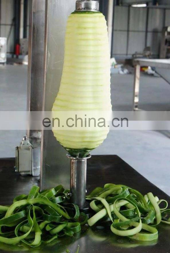 Sale watermelon skin removing machine/papaya peeling machine/wax gourd pumpkin peeling machine