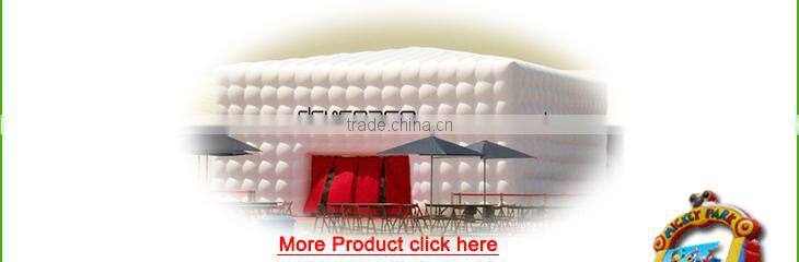 New Point inflatable water slides for summer,fashionable garden play inflatable slide,inflatable water slidekids