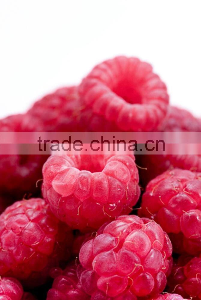 GMPc DIETARY SUPPLE MENT Raw Material Raspberry Ketone WHITE LABEL