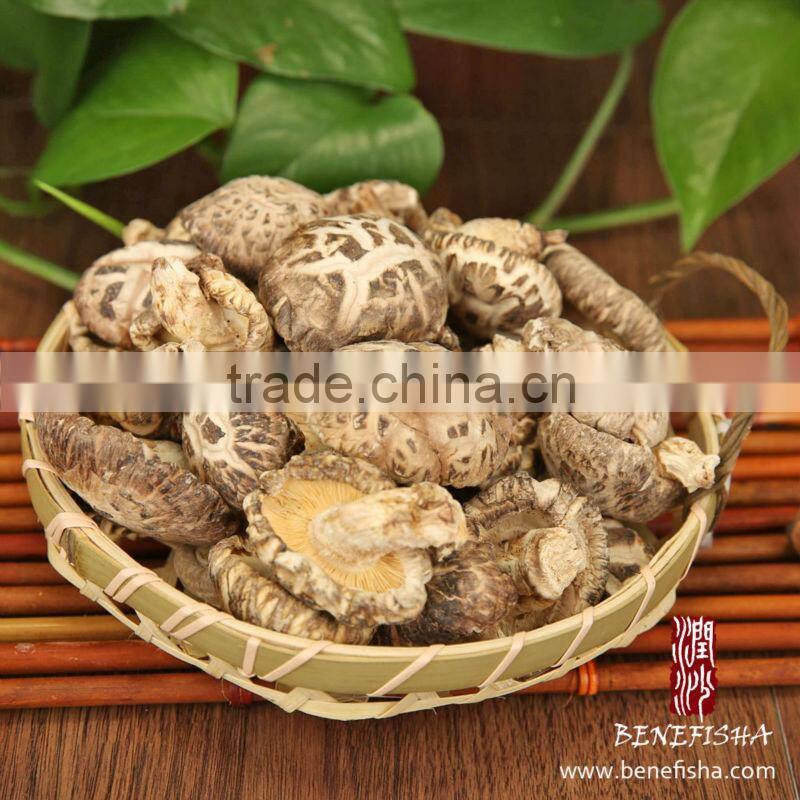 Dried Shiitake Mushroom with Stick(White Flower)