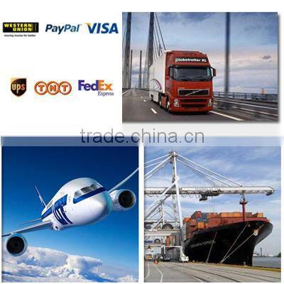 Construction material Toyo manual chain pulley block 10 ton chain hoist