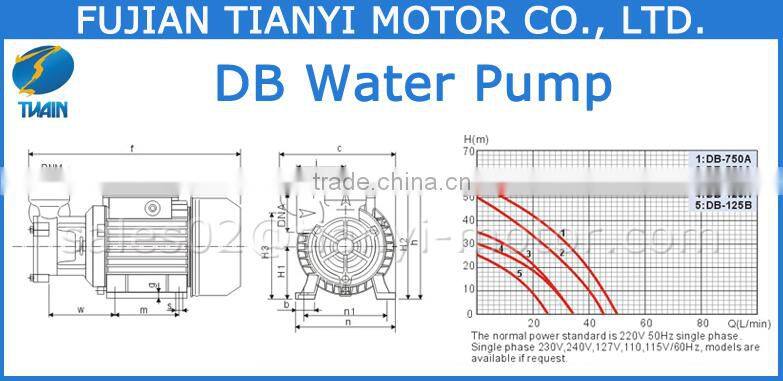 DB-125B 1.3HP Electric Motor Water Pump