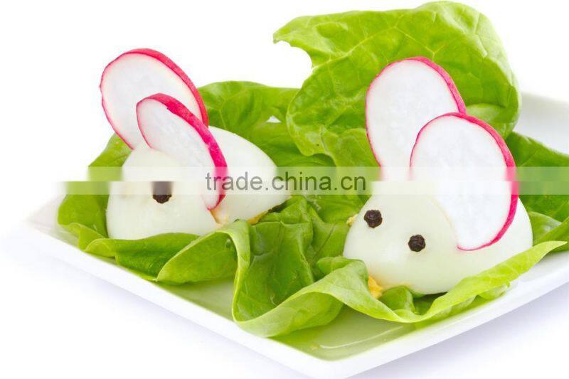 Best sale egg cooker