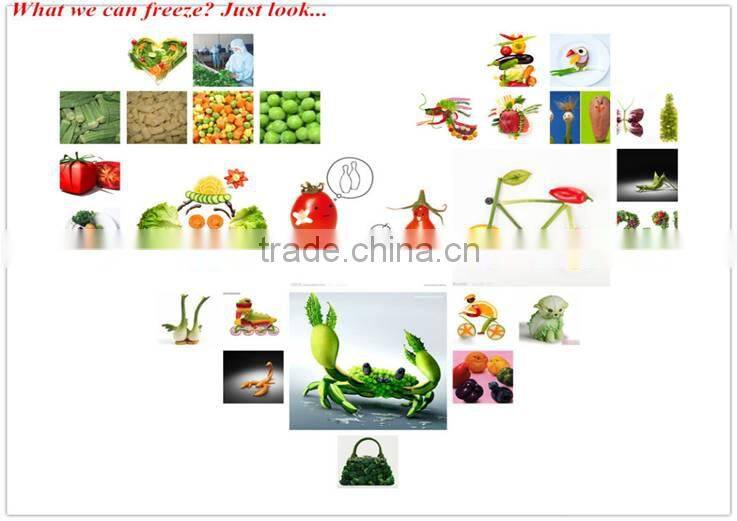 IQF industrial Quick freezer