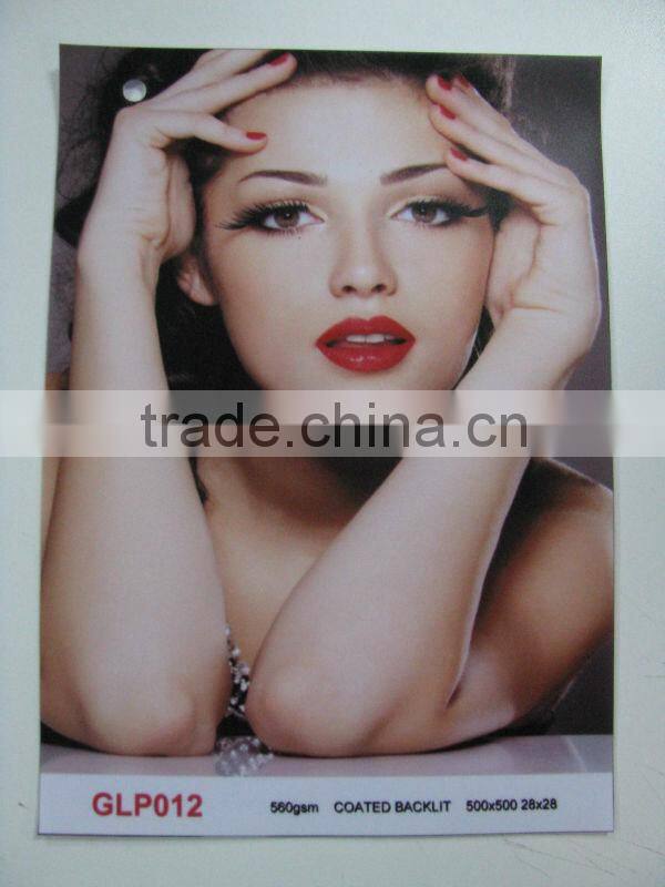 pvc coated backlit flex banner