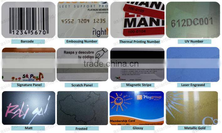 Loco 300 OE Hico 2750 OE Magnetic Stripe Plastic Card/Megnetic Business Card