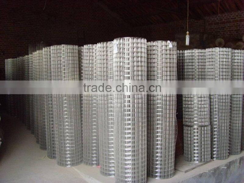 1/2"x1/2"xbwg14x1.0mx10m Stainless Steel Welded Wire Mesh